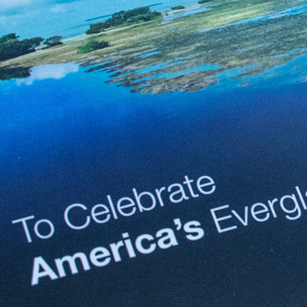 Everglades Foundation ideatomica branding print and web design